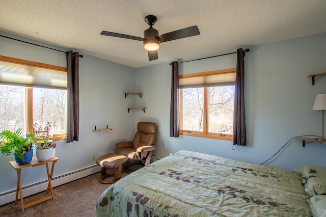 17367 Gull Lake Loop Rd NE, Bemidji, MN 56601 - carpeted bedroom featuring a baseboard heating unit and a textured ceiling