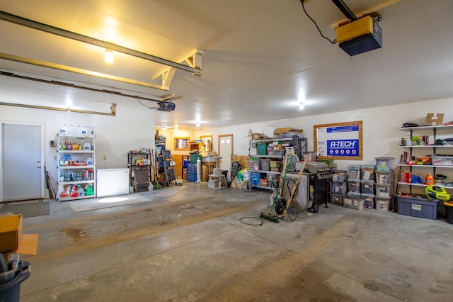 17367 Gull Lake Loop Rd NE, Bemidji, MN 56601 - garage featuring a garage door opener