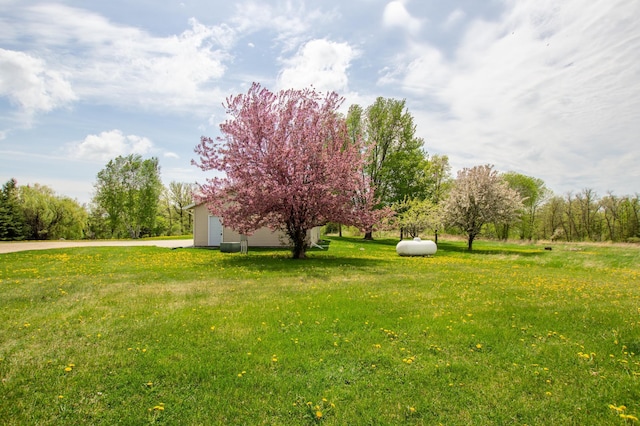 17367 Gull Lake Loop Rd NE, Bemidji, MN 56601 - view of grassy yard