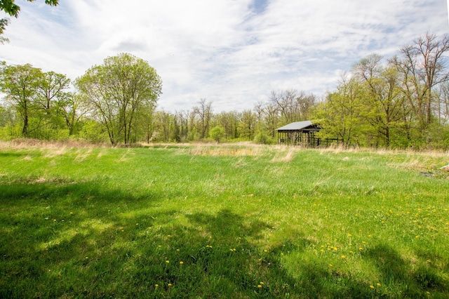 17367 Gull Lake Loop Rd NE, Bemidji, MN 56601 - view of yard featuring a carport and a rural view