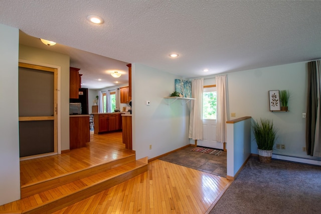 17367 Gull Lake Loop Rd NE, Bemidji, MN 56601 - entryway featuring a baseboard heating unit, plenty of natural light, light wood finished floors, a textured ceiling, and baseboards