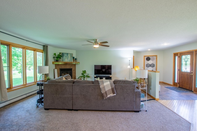17367 Gull Lake Loop Rd NE, Bemidji, MN 56601 - living area featuring a glass covered fireplace, baseboards, ceiling fan, a textured ceiling, and carpet