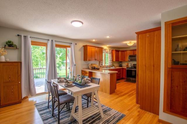 17367 Gull Lake Loop Rd NE, Bemidji, MN 56601 - dining room with a textured ceiling and light wood-style flooring