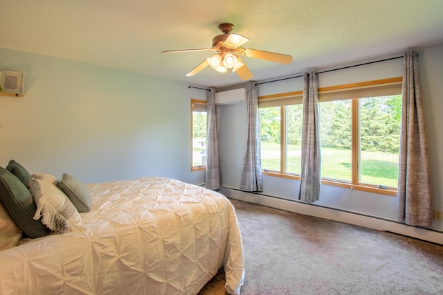 17367 Gull Lake Loop Rd NE, Bemidji, MN 56601 - carpeted bedroom featuring a baseboard heating unit and a ceiling fan