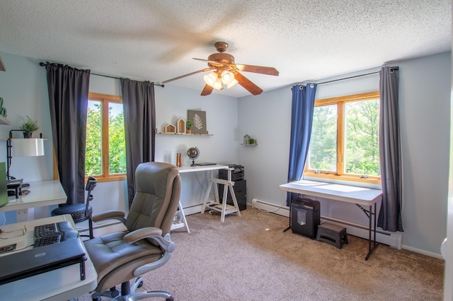 17367 Gull Lake Loop Rd NE, Bemidji, MN 56601 - carpeted home office with healthy amount of natural light, baseboard heating, a ceiling fan, and a textured ceiling