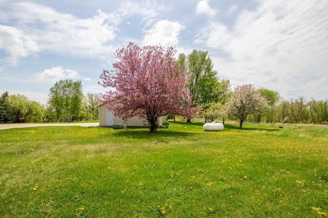 17367 Gull Lake Loop Rd NE, Bemidji, MN 56601 - view of green lawn