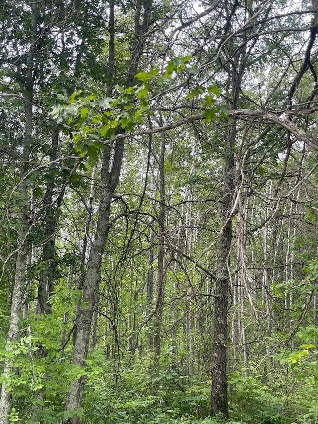 LOT2 Patriot Ave, Pequot Lakes, MN 56472 - photo 1