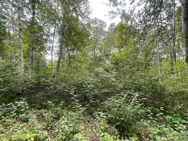 LOT2 Patriot Ave, Pequot Lakes, MN 56472 - photo 2