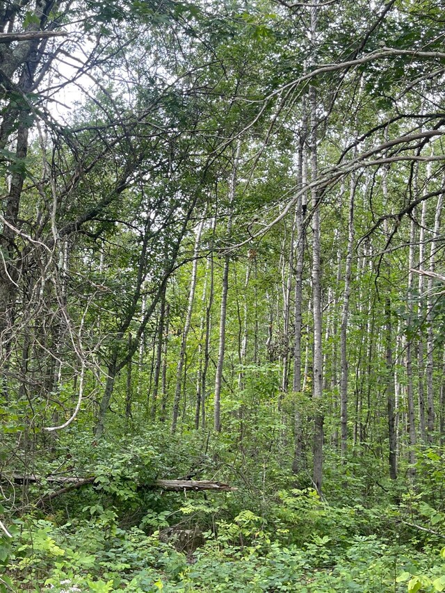LOT2 Patriot Ave, Pequot Lakes, MN 56472 - photo 3