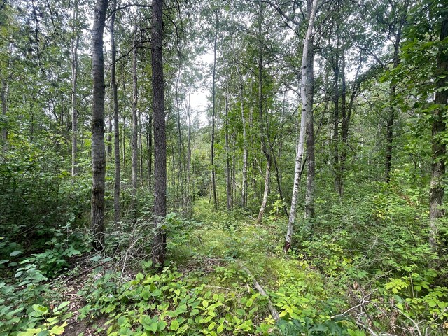 LOT2 Patriot Ave, Pequot Lakes, MN 56472 - photo 4