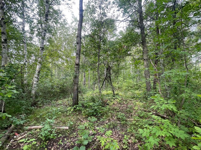 LOT2 Patriot Ave, Pequot Lakes, MN 56472 - photo 5