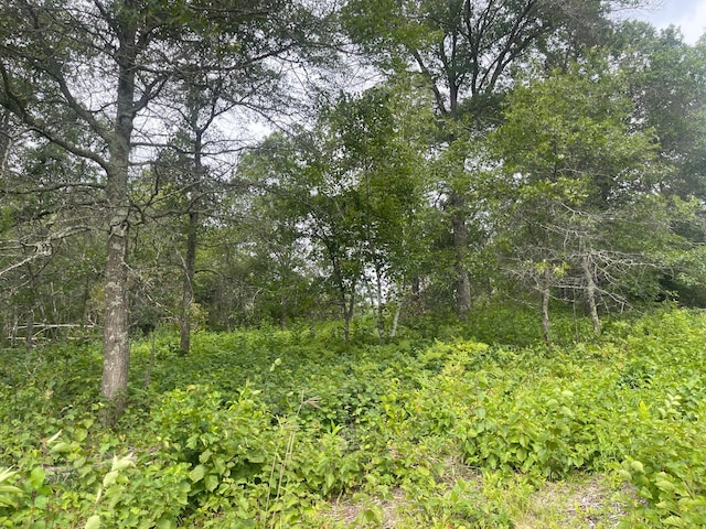 LOT2 Patriot Ave, Pequot Lakes, MN 56472 - photo 8