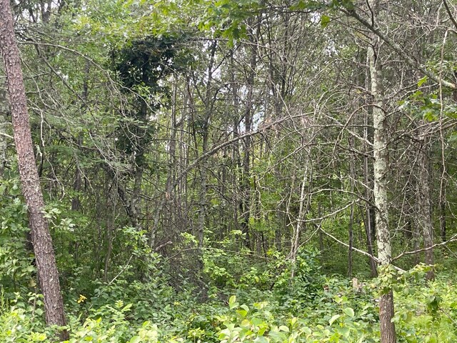LOT2 Patriot Ave, Pequot Lakes, MN 56472 - photo 10