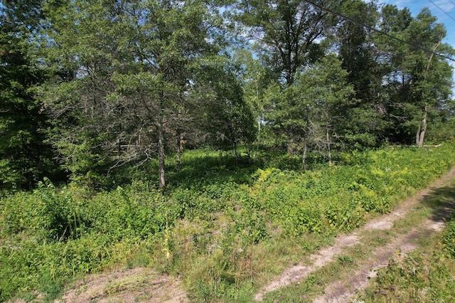 LOT2 Patriot Ave, Pequot Lakes, MN 56472 - photo 30