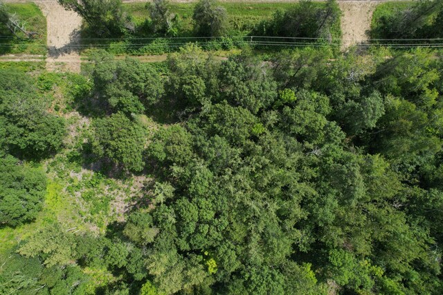 LOT2 Patriot Ave, Pequot Lakes, MN 56472 - photo 39