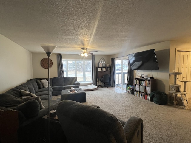 724 Richwood Rd, Detroit Lakes, MN 56501 - photo 9