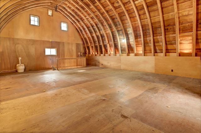 miscellaneous room with lofted ceiling