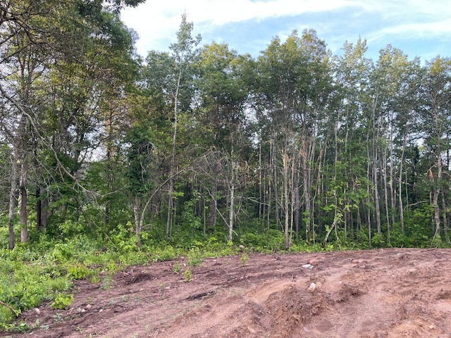 29939 Patriot Ave, Pequot Lakes, MN 56472 - view of woods