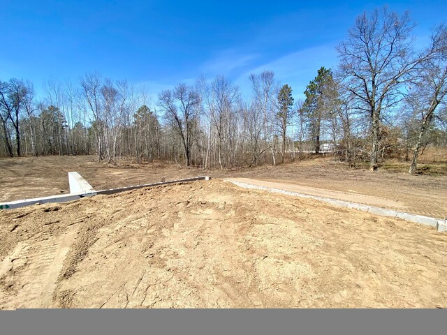 29939 Patriot Ave, Pequot Lakes, MN 56472 - view of yard