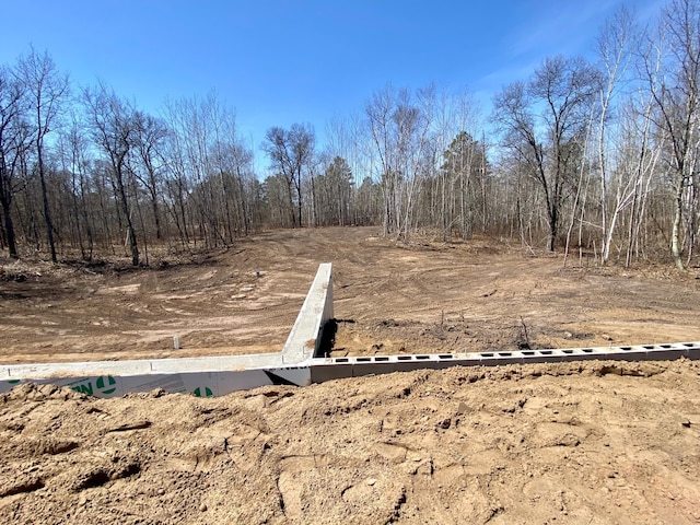 29939 Patriot Ave, Pequot Lakes, MN 56472 - view of yard