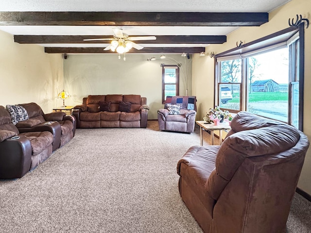 1126 US Highway 59, Garvin, MN 56132 - carpeted living area featuring beamed ceiling and ceiling fan
