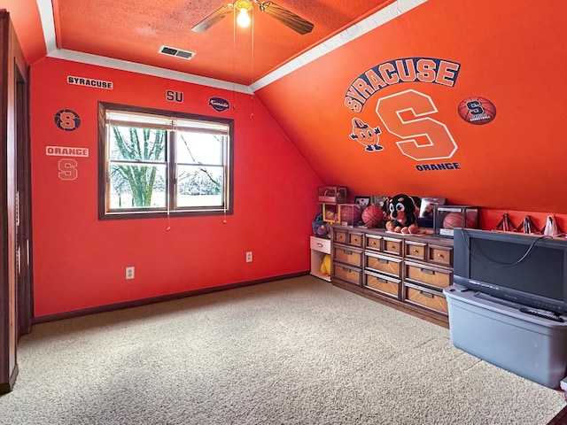 1126 US Highway 59, Garvin, MN 56132 - additional living space featuring ceiling fan, carpet floors, vaulted ceiling, and a textured ceiling