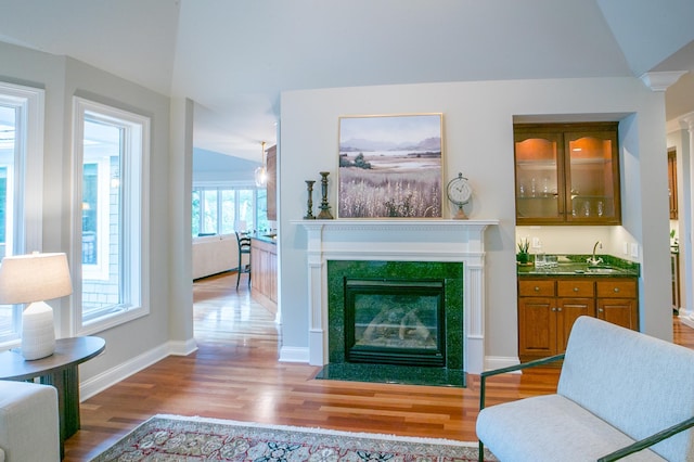 13980 Emerald Rdg, Minnetonka, MN 55305 - living room featuring wood finished floors and a fireplace with flush hearth