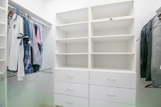 13980 Emerald Rdg, Minnetonka, MN 55305 - view of spacious closet