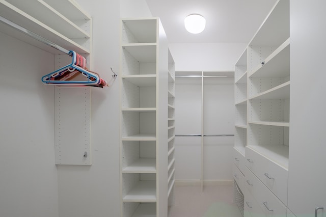 13980 Emerald Rdg, Minnetonka, MN 55305 - view of spacious closet