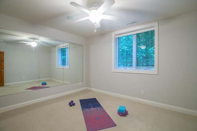 13980 Emerald Rdg, Minnetonka, MN 55305 - exercise area featuring ceiling fan and carpet floors