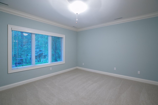 13980 Emerald Rdg, Minnetonka, MN 55305 - carpeted spare room featuring ornamental molding and baseboards
