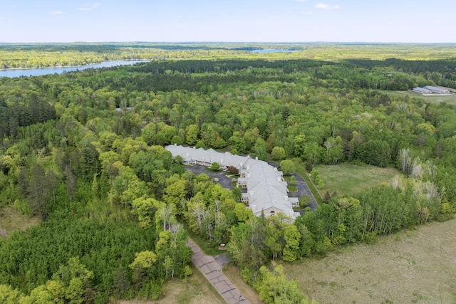 36306 Pine Bay Cir Unit 104, Crosslake, MN 56442 - bird's eye view of a forest and a nearby body of water