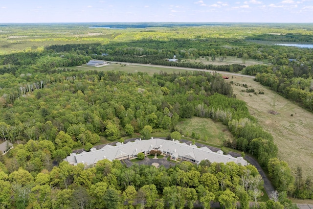 36306 Pine Bay Cir Unit 104, Crosslake, MN 56442 - aerial view of a forest
