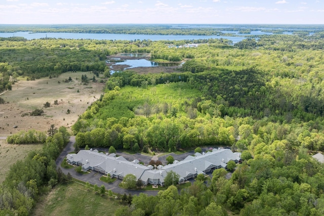 36306 Pine Bay Cir Unit 104, Crosslake, MN 56442 - bird's eye view of a forest and a large body of water