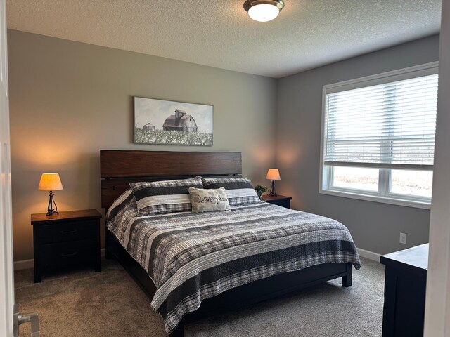 5201 Ramier Ave NE, Rogers, MN 55374 - bedroom with baseboards, carpet flooring, and a textured ceiling