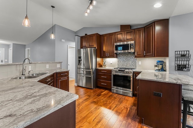 kitchen with a sink, stainless steel appliances, dark wood-style floors, and lofted ceiling