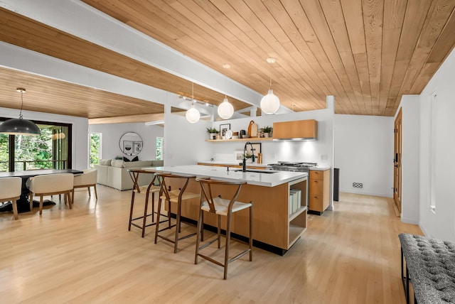 6801 Utica Ter, Chanhassen, MN 55317 - photo 17