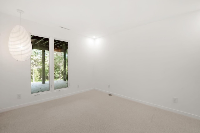 6801 Utica Ter, Chanhassen, MN 55317 - photo 49