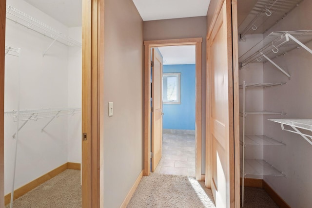 walk in closet with light colored carpet