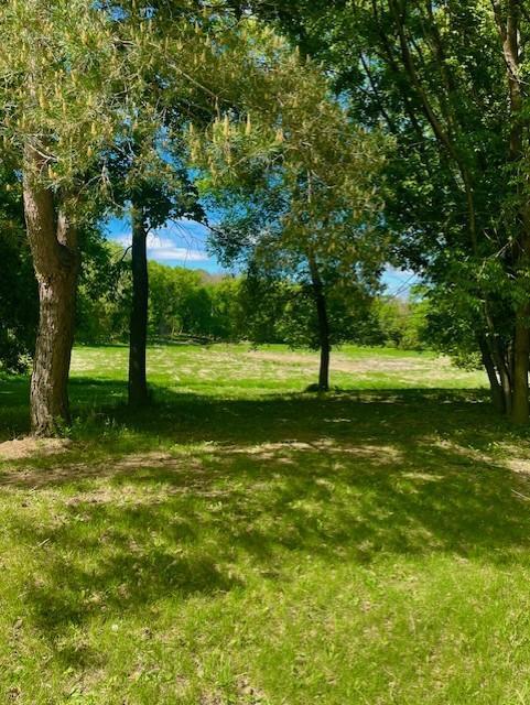 1811 Lake Lucy Ln, Chanhassen, MN 55331 - view of grassy yard