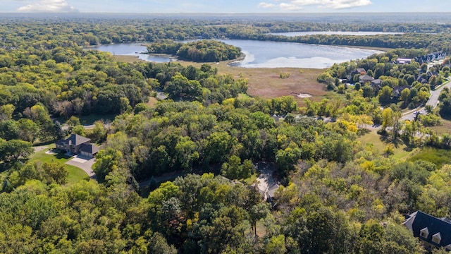 1811 Lake Lucy Ln, Chanhassen, MN 55331 - bird's eye view of a heavily wooded area and a large body of water