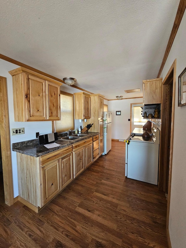 kitchen featuring a sink, range, dark countertops, freestanding refrigerator, and dark wood finished floors