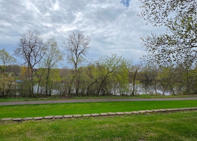 14291 92nd Ave N, Maple Grove, MN 55369 - view of yard