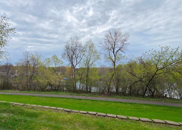 14291 92nd Ave N, Maple Grove, MN 55369 - view of yard