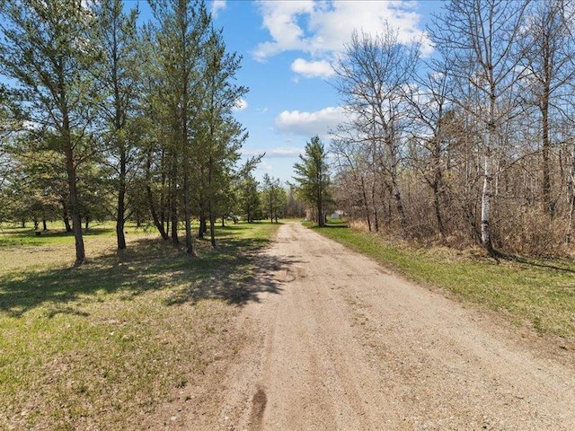 14805 300th St, Red Eye Twp, MN 56477 - view of street