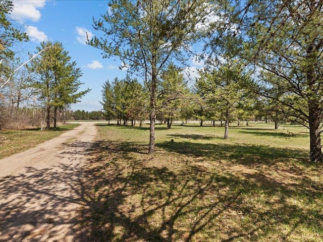 14805 300th St, Red Eye Twp, MN 56477 - view of property's community featuring a lawn