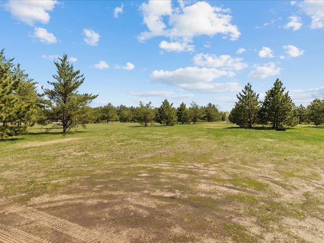 14805 300th St, Red Eye Twp, MN 56477 - view of undeveloped land featuring rural landscape