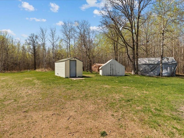 14805 300th St, Red Eye Twp, MN 56477 - view of green lawn with a shed and an outbuilding