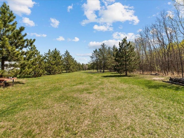 14805 300th St, Red Eye Twp, MN 56477 - view of green lawn with a forest view