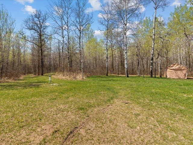 14805 300th St, Red Eye Twp, MN 56477 - view of green lawn with a view of trees